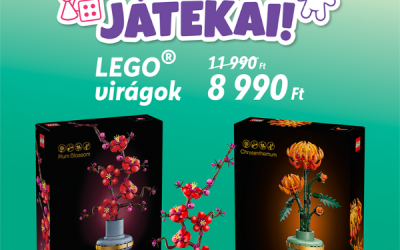 REGIO Játék: A hónap játéka